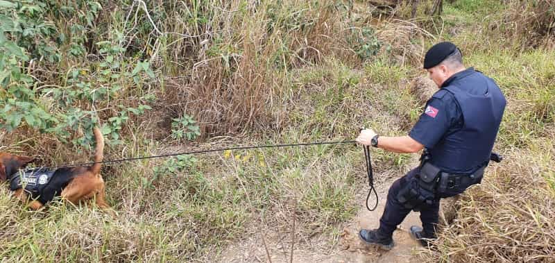 Policiais encontram corpo carbonizado em Santa Bárbara 1 b8242acd 15094837 9cd39df6 6