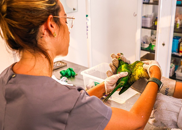 Centro de recuperação de animais silvestres de Santa Bárbara é referência no cuidado de animais 2 Animais CETRAS 01 - imprensa