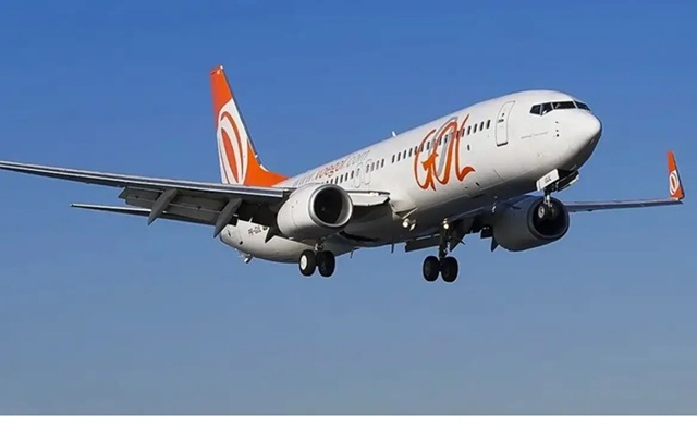 Avião da GOL colide com pássaro após decolar de Brasília 3 aviao-gol