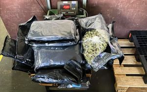 receita-federal-drogas-viracopos