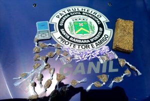 Canil da GCM apreende sacola com drogas no Vista Alegre