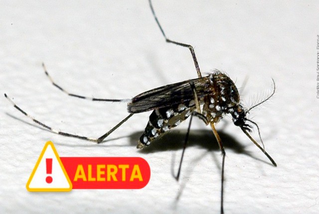 Sumaré declara situação de emergência por casos de dengue 1 Sumaré declara situação de emergência por casos de dengue