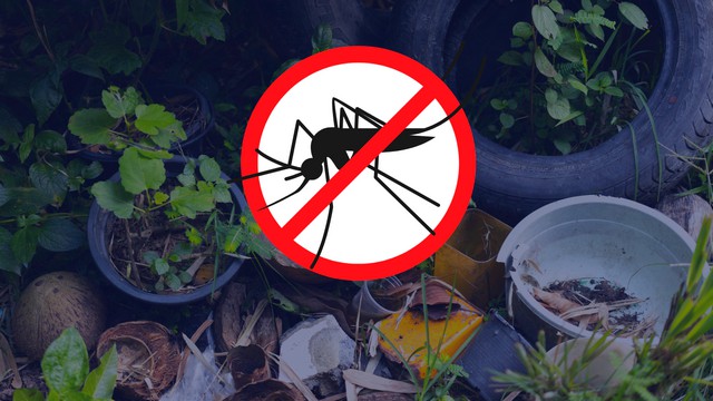 Americana alerta para que pessoas com sintomas de dengue procurem UBS 1 Americana alerta para que pessoas com sintomas de dengue procurem UBS