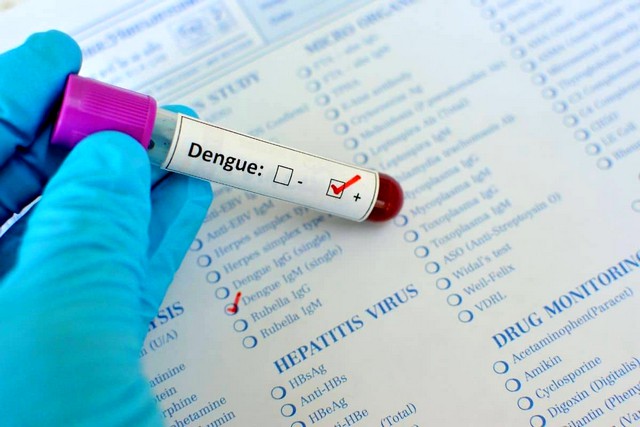 Americana confirma mais três óbitos por dengue 1 Americana confirma mais três mortes por dengue