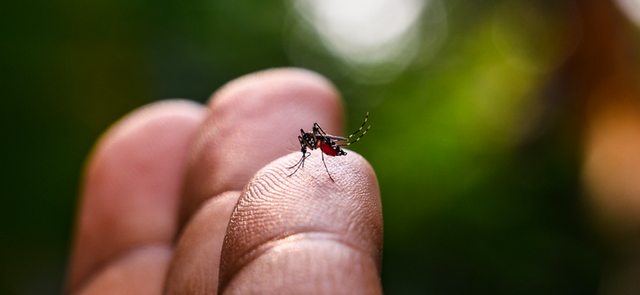Americana confirma mais uma morte por dengue 1 Americana confirma mais uma morte por dengue