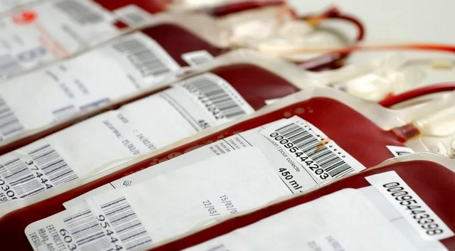 Banco de Sangue do HM oferece programa para doações em grupos 1 Banco de Sangue do HM oferece programa para doações em grupos