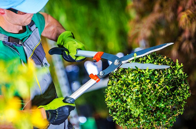 De jardineiro a estagiário em química, confira as vagas no Desenvolve Santa Bárbara