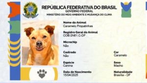 Governo lança SinPatinhas, o programa de RG para pets