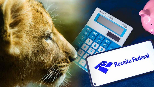 Receita abre consulta a lote da malha fina do Imposto de Renda 1 Receita abre consulta a lote da malha fina do Imposto de Renda