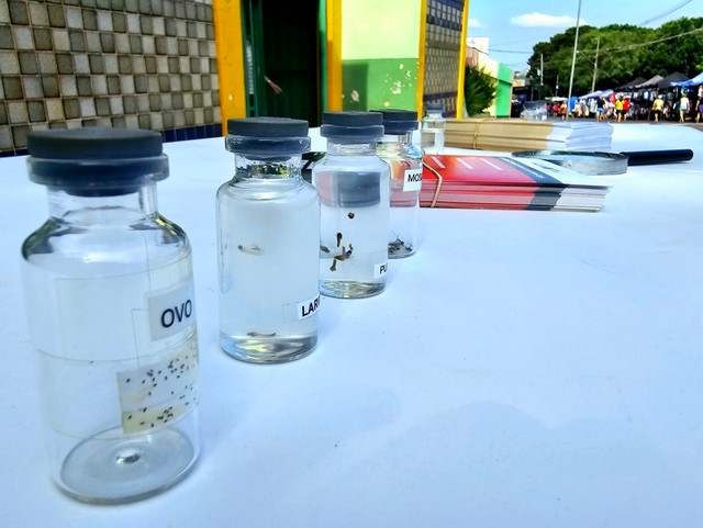 S. Bárbara chega a nove mortes por dengue neste ano 2 S. Bárbara chega a nove mortes por dengue neste ano