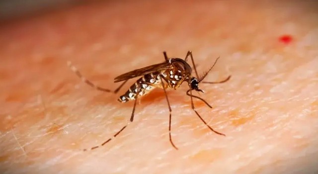 Santa Bárbara chega a 13 óbitos por dengue neste ano 2 Santa Bárbara chega a 13 óbitos por dengue neste ano