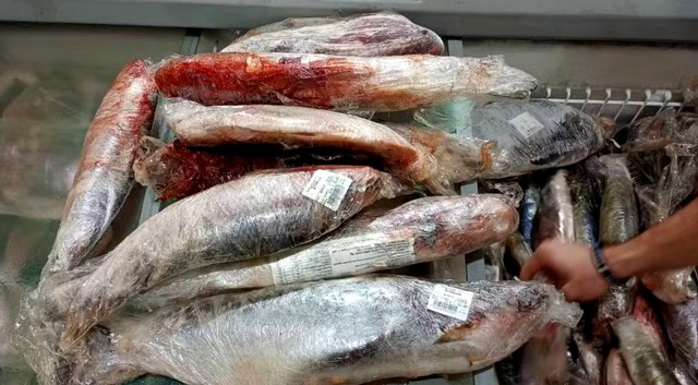 Vigilância Sanitária apreende 42 kg de carnes e peixes em Sumaré 1 Vigilância Sanitária apreende 42 kg de carnes e peixes em Sumaré