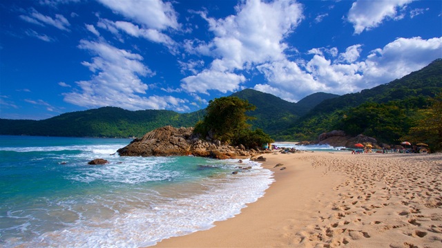 Coletivo N'Calma Realiza Edição Especial na Praia de Trindade/Paraty-RJ 1 paraty-coletivo