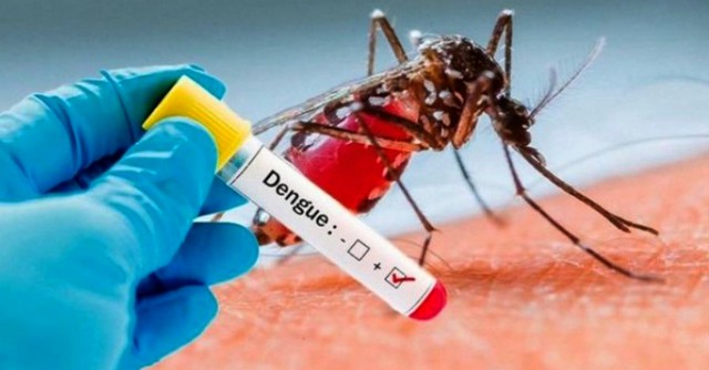 Americana confirma 25º óbito por dengue 1 Americana confirma 25º óbito por dengue ocorrido em março