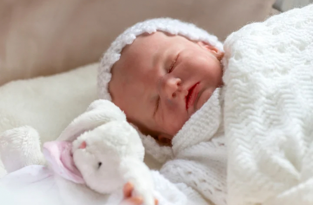 Vereadores da região elaboram projetos contra bebês reborn 1 Bebe reborn