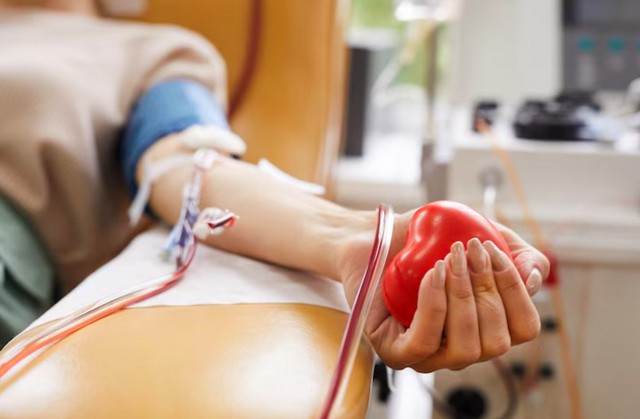 Escola do Legislativo retoma campanha de doação de sangue para parlamentar jovem de Sumaré 1 Escola do Legislativo retoma campanha de doação de sangue para parlamentar jovem de Sumaré