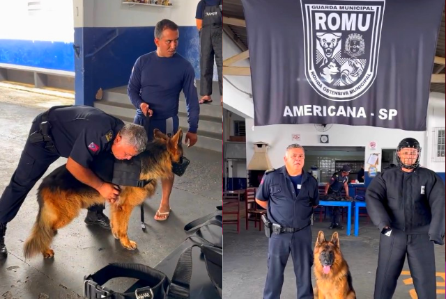 Gama adquire novos equipamentos para treinos do Canil 1 Gama adquire novos equipamentos para treinos do Canil
