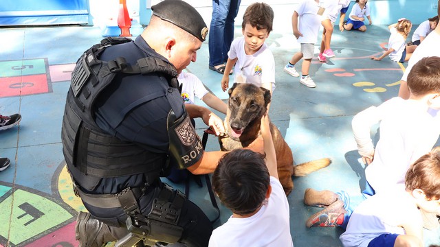 Gama leva cães da corporação para apresentações em escolas de Americana 2 Gama leva cães do Canil para apresentações em escolas de Americana