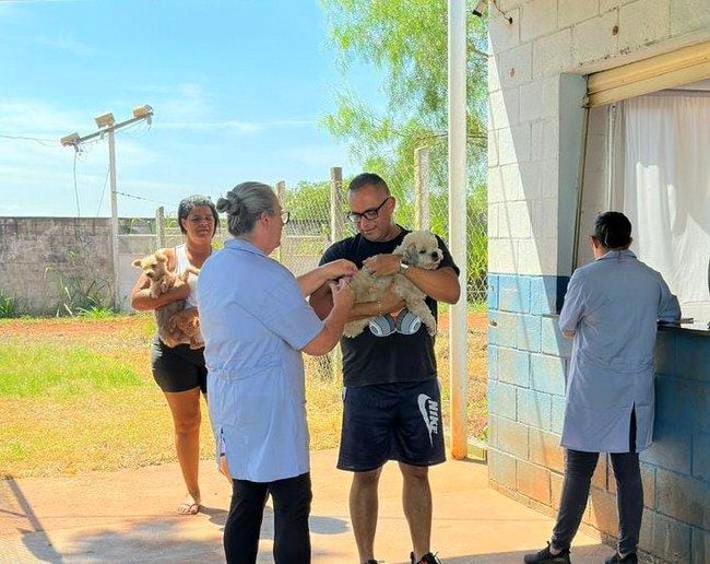Sumaré aplica 24 doses de vacina antirrábica em cães e gatos 1 Sumaré aplica 24 doses de vacina antirrábica em cães e gatos