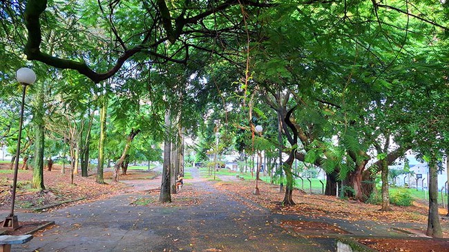 Americana abre licitação para revitalizar Praça Caetano Cecchino 1 Americana abre licitação para revitalizar Praça Caetano Cecchino