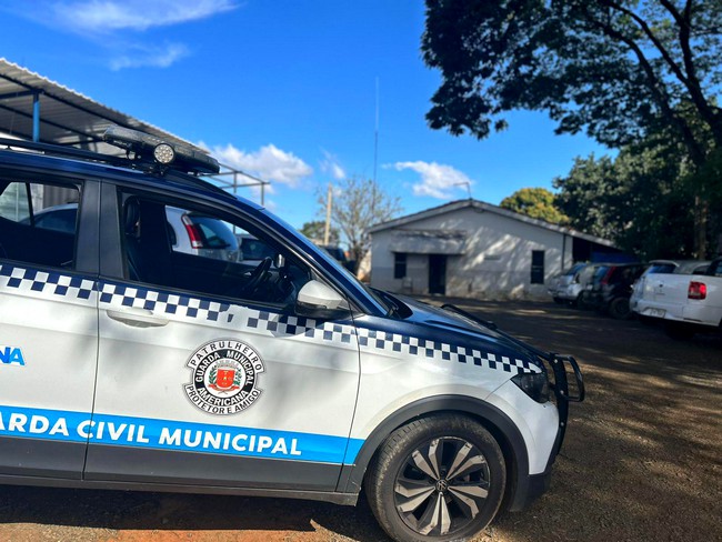 Gama usa arma de choque para conter cão agressivo que atacou o dono