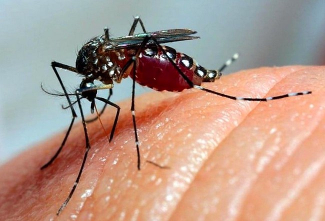 Santa Bárbara registra 8.161 casos de dengue e 25 mortes