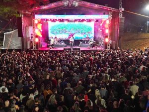 biquini-cavadao-rock-day