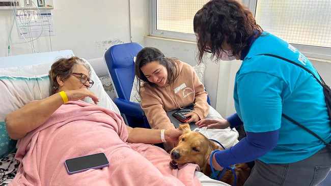 Cães terapeutas levam afeto e esperança ao Hospital Municipal