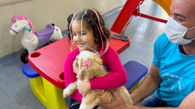 Cães terapeutas levam afeto e esperança ao Hospital Municipal