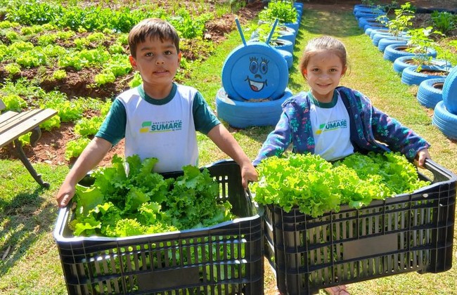 Escola de Sumaré transforma ensino com horta feita por alunos