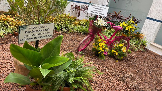 HM de Americana revitaliza Jardim Terapêutico e amplia cuidado 3 HM de Americana revitaliza Jardim Terapêutico e amplia cuidado