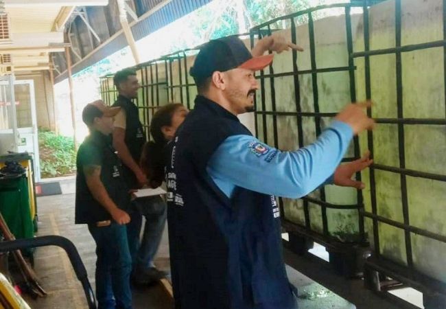 Sumaré intensifica combate à dengue com inspeções e alerta à população 1 Sumaré intensifica combate à dengue com inspeções e alerta à população