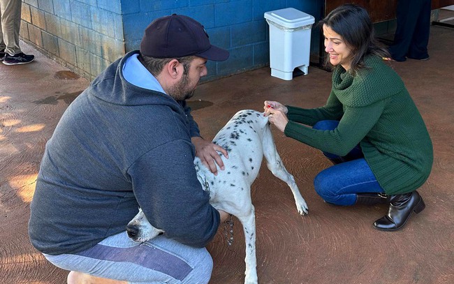 Sumaré vacina 280 animais contra a raiva no primeiro semestre