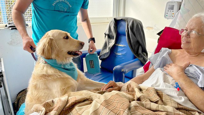 Terapia com cães humaniza atendimento no Hospital Municipal 1 Terapia com cães humaniza atendimento no Hospital Municipal 1