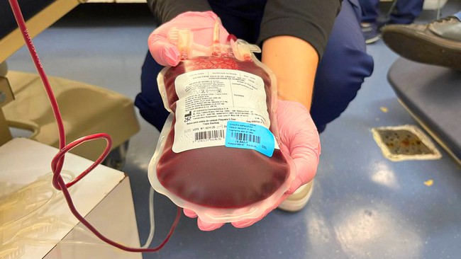 Banco de Sangue do HM de Americana pede doações urgentes 1 Banco de Sangue do HM de Americana pede doações urgentes