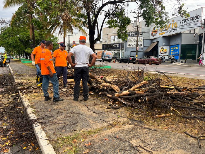 Defesa Civil registra nove ocorrências em Sumaré durante chuva intensa 1 Defesa Civil registra nove ocorrências em Sumaré durante chuva intensa