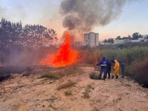 Lucas Leoncine solicita reflorestamento de áreas afetadas por incêndios