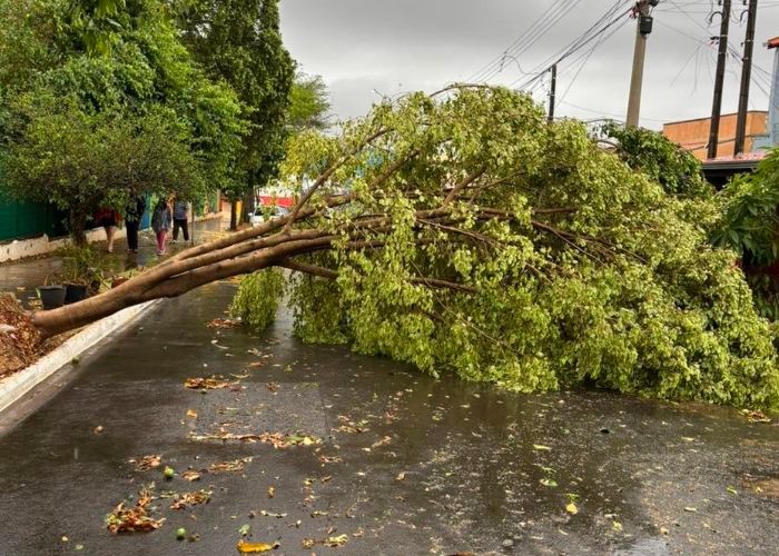 Prefeitura de Nova Odessa atua após estragos da chuva 1 Prefeitura de Nova Odessa atua após estragos da chuva