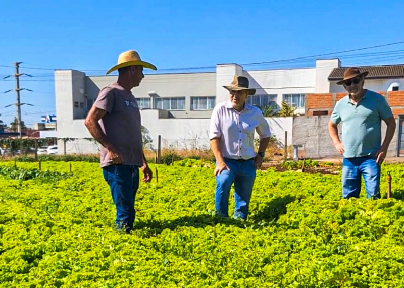 Santa Bárbara firma parcerias para implantar programa de horticultura 3 Santa Bárbara firma parcerias para implantar programa de horticultura