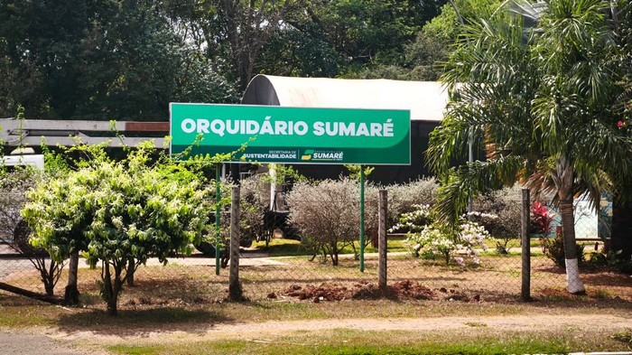 Sumaré abre inscrições para a 21ª Mostra e Venda de Orquídeas 1 Sumaré abre inscrições para a 21ª Mostra e Venda de Orquídeas