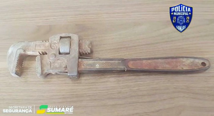 Tutora agride cachorrinha na cabeça e a abandona em saco em Sumaré 1 Tutora agride cachorrinha na cabeça e a abandona em saco em Sumaré
