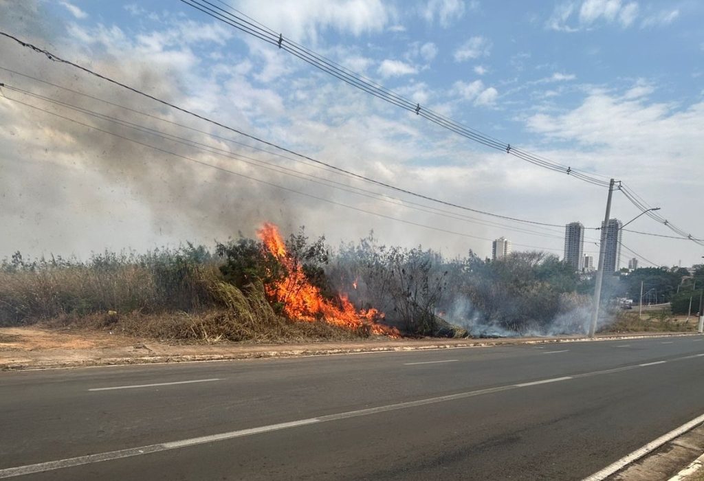 Homem coloca fogo em mata em Santa Bárbara, é detido, recebe multa e acaba liberado 1 fogo-santa-barbara