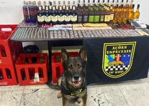 Baep apreende drogas e bebidas com suspeita de adulteração em adega de Americana