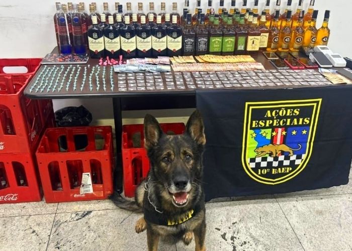 Baep apreende drogas e bebidas com suspeita de adulteração em adega de Americana 1 Baep apreende drogas e bebidas com suspeita de adulteração em adega de Americana