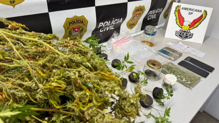Dise de Americana prende traficante em chácara de Sumaré