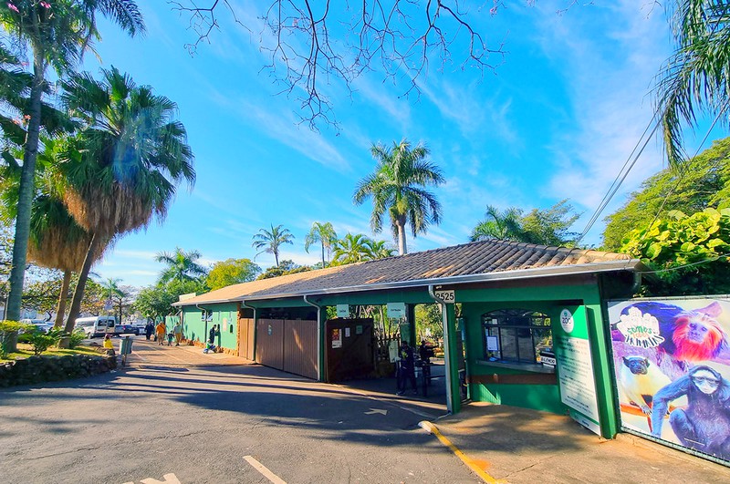 Moradores têm entrada gratuita no Zoo de Americana neste fim de semana 1 Moradores têm entrada gratuita no Zoo de Americana neste fim de semana