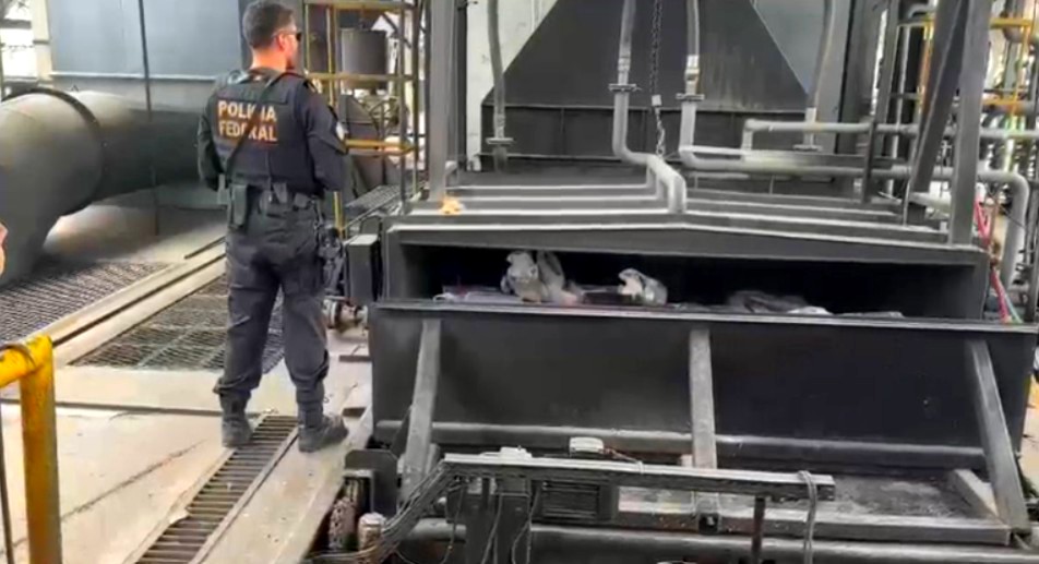 PF incinera mais de 4,5 toneladas de drogas em Nova Odessa