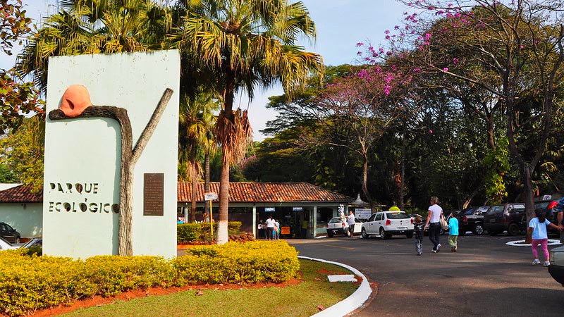 Parque Ecológico de Americana celebra 41 anos com mais de 3,7 mil visitantes 2 Parque Ecológico de Americana celebra 41 anos com mais de 3,7 mil visitantes