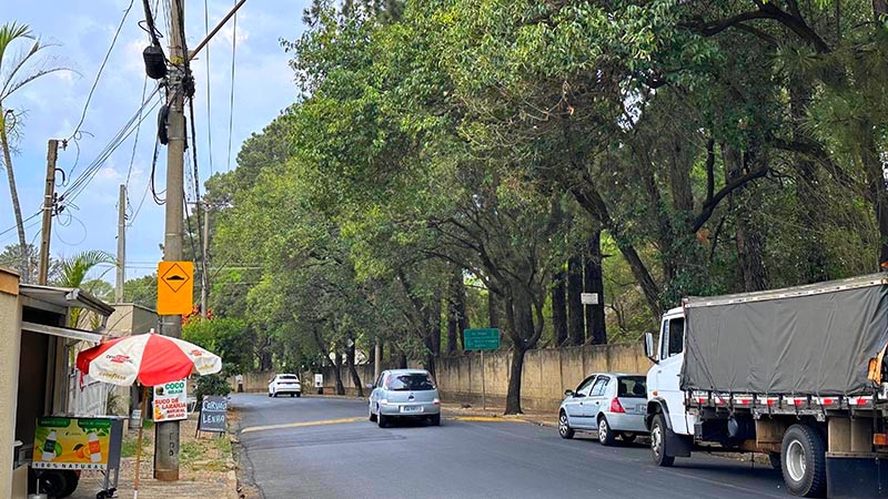 Trechos de vias serão interditados para poda de árvores em Americana neste sábado 1 Trechos de vias serão interditados para poda de árvores em Americana