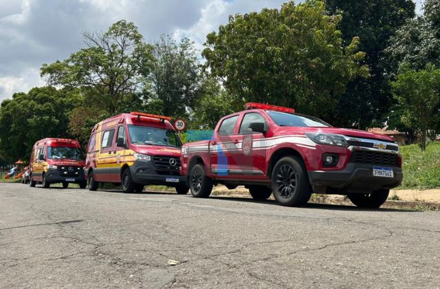 Família se salva após enxame de abelhas ser perturbado por adolescente em Santa Bárbara 1 abelhas-bombeiros